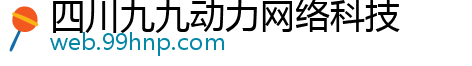 四川九九动力网络科技